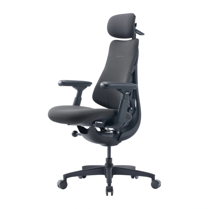 LiberNovo Omni GEN 48 cm Ergonomic Chair (Graphite)
