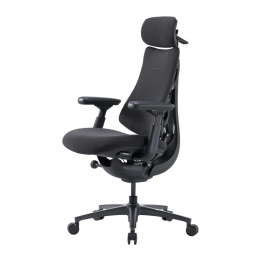 LiberNovo Omni Pro 45 cm Ergonomic Chair (Graphite)
