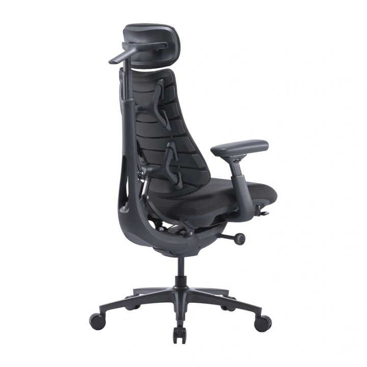 LiberNovo Omni Pro 45 cm Ergonomic Chair (Graphite)
