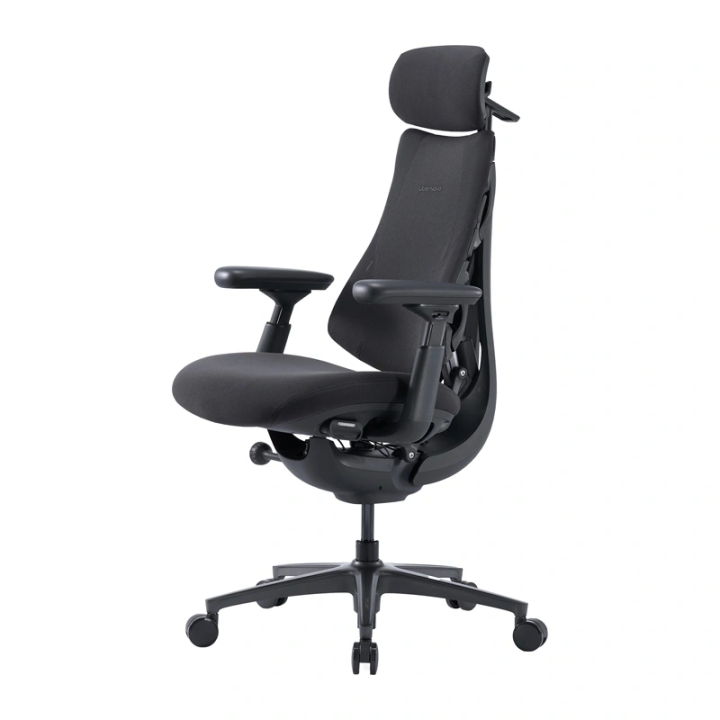 LiberNovo Omni Pro 48 cm Ergonomic Chair (Graphite)
