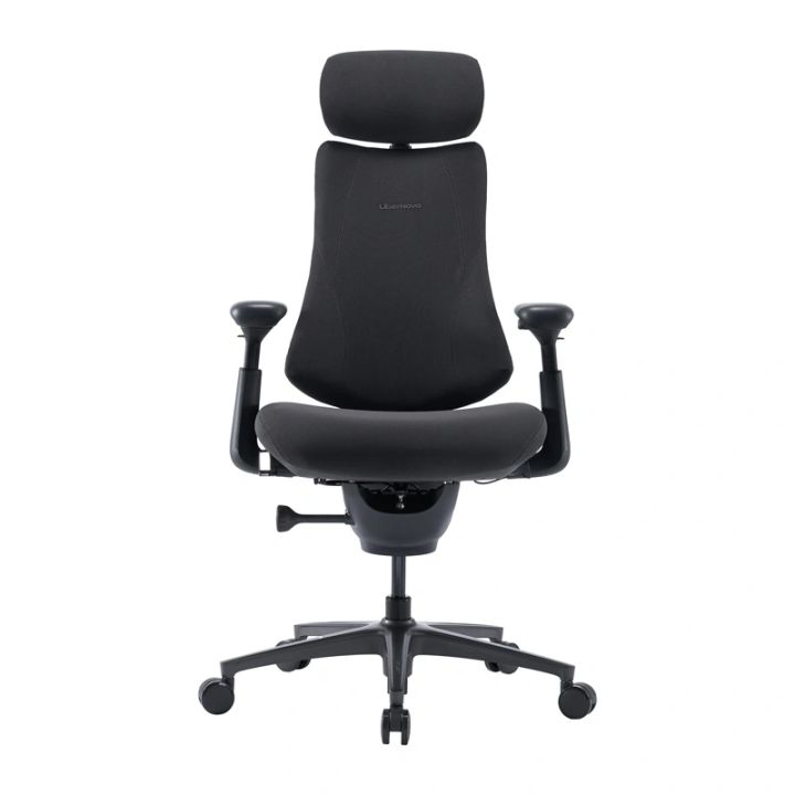 LiberNovo Omni Pro 48 cm Ergonomic Chair (Graphite)