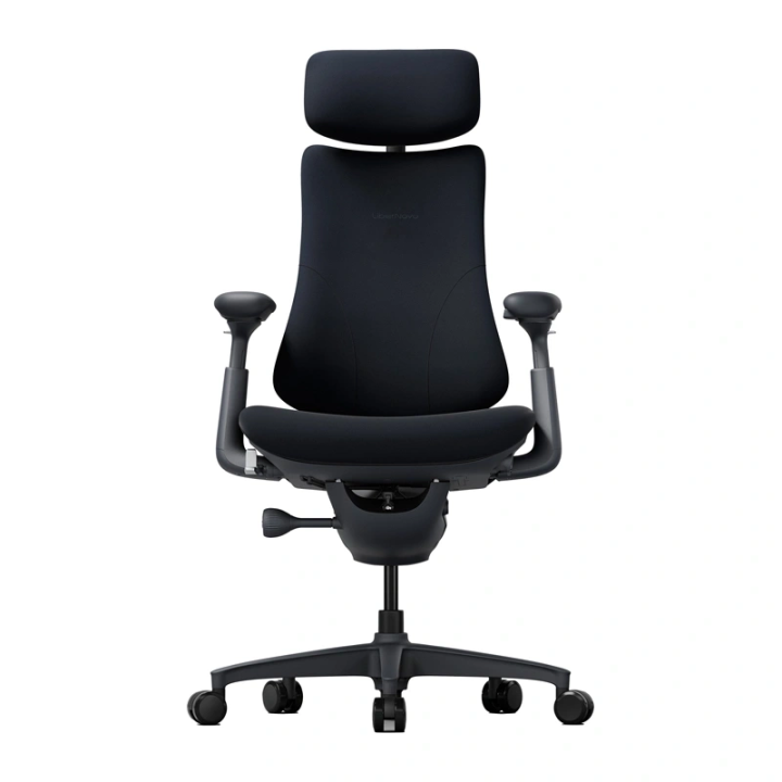 LiberNovo Omni 48 cm Ergonomic Chair (Black)