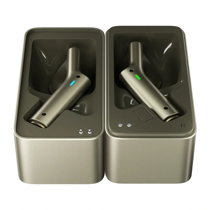 TimeKettle W4 Plus TWS Translation Earbuds (Gold)